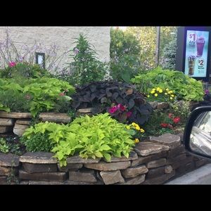 Meet your Posher, Tracy